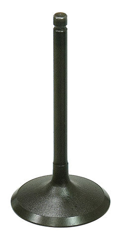 BRONCO Intake Valve AU-09219I