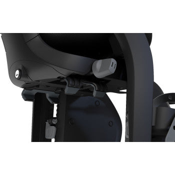 THULE Child Yepp Maxi 2 Seat - Alaska 12021206