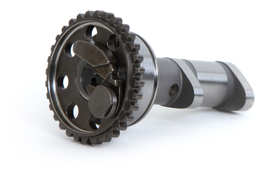 HOT CAMS Racing Cam Stage 2 4289-2E