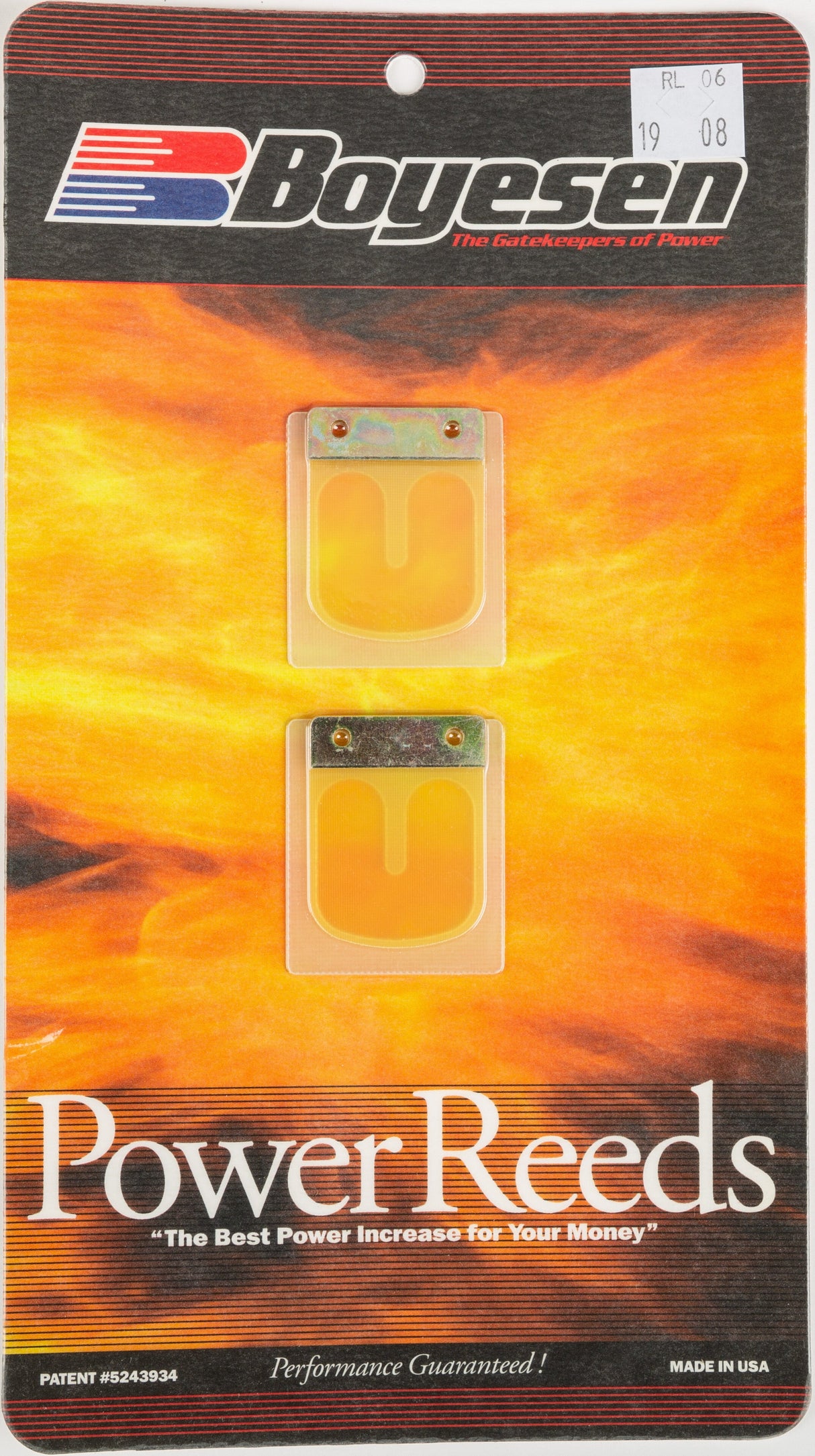 BOYESEN Motorcycle Rad Valve Reeds RL-06