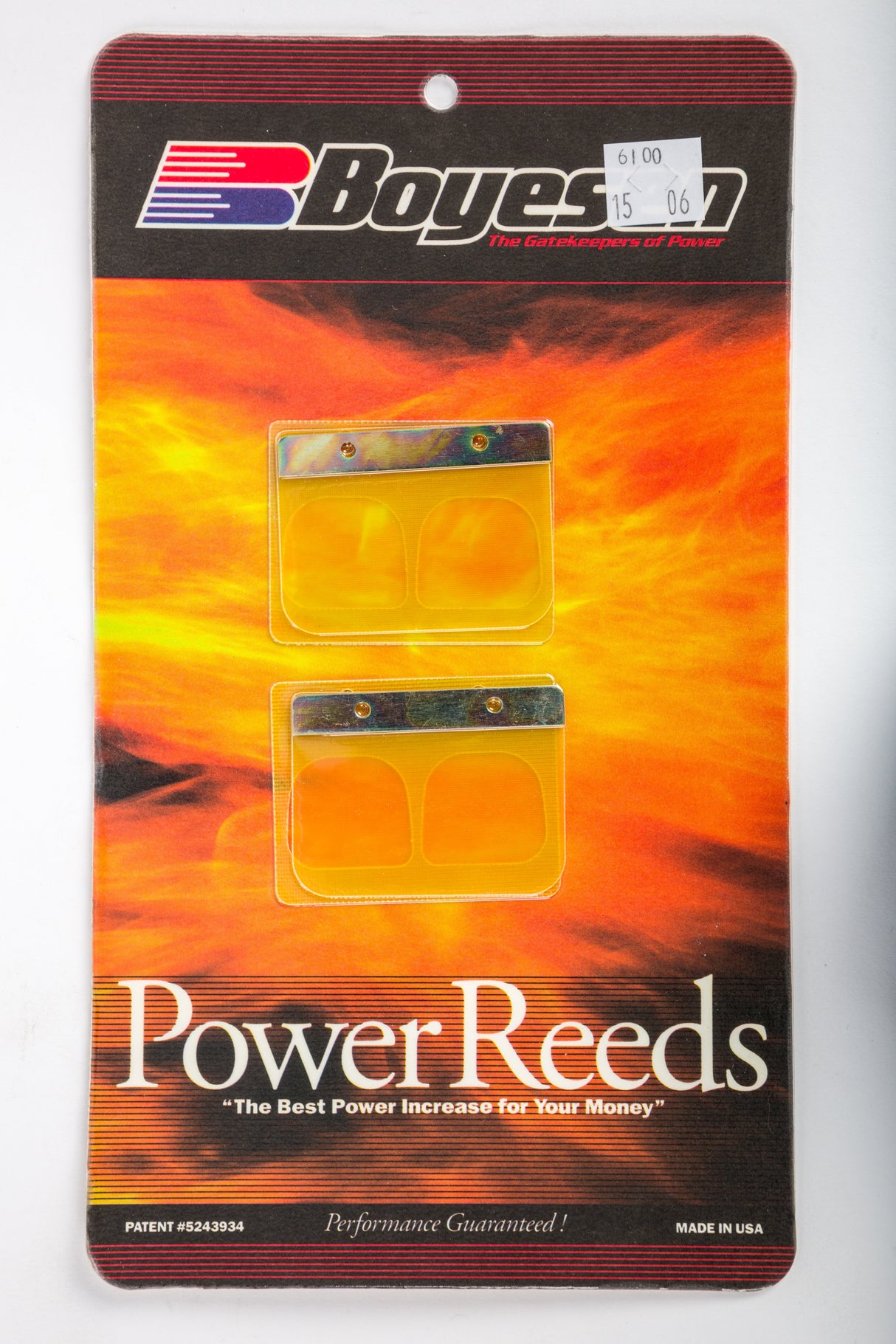 BOYESEN Motorcycle Reeds 6100