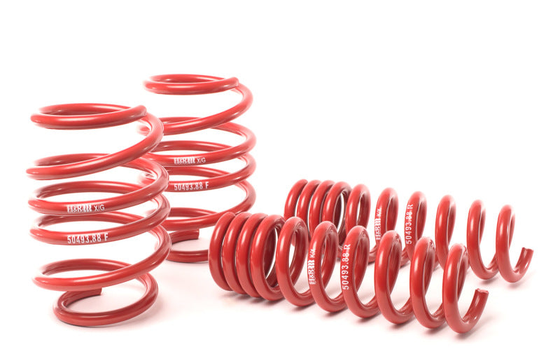 H&R 08-13 BMW M3 Coupe/M3 Sedan E92 Race Spring 50493-88