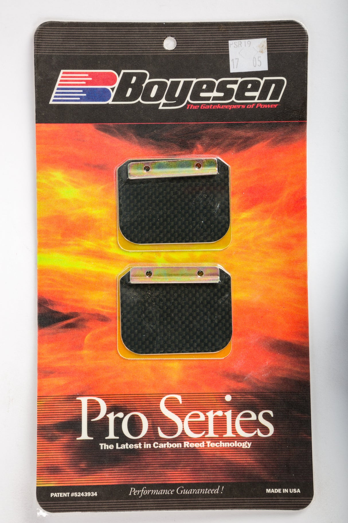 BOYESEN Motorcycle Pro Reeds PSR-19