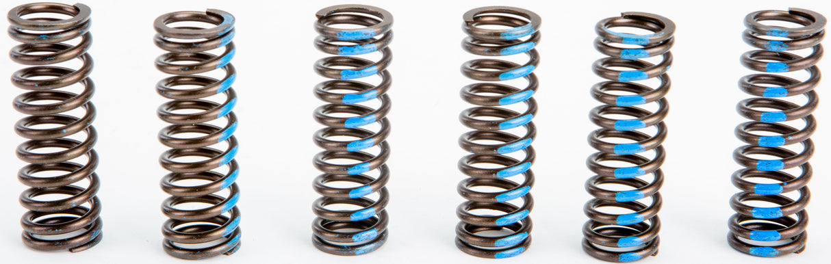 PRO CIRCUIT Clutch Springs CSY10450-CS