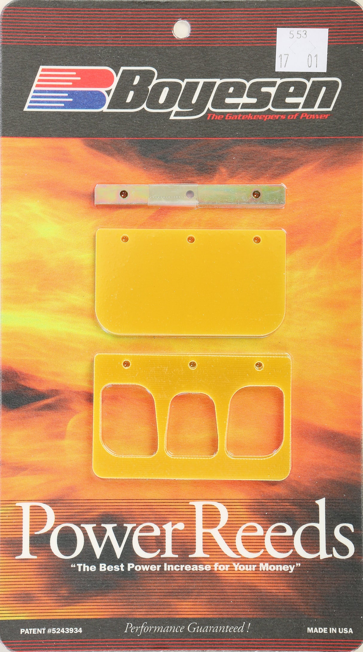 BOYESEN Snowmobile Reeds 553