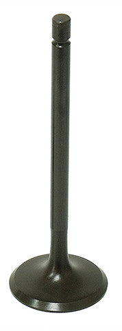 BRONCO Intake Valve XU-09500I