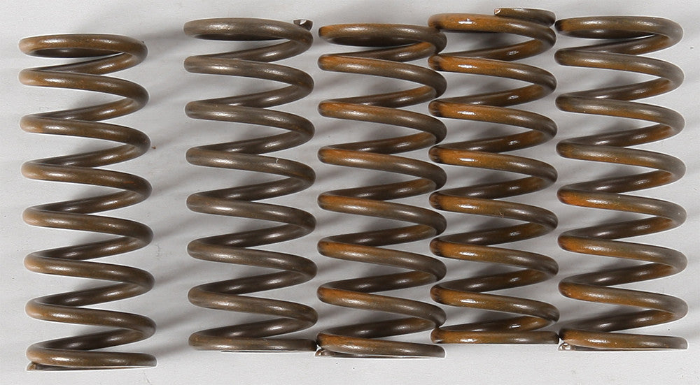 HINSON High Temp Springs 5 Springs CS264-5-0409