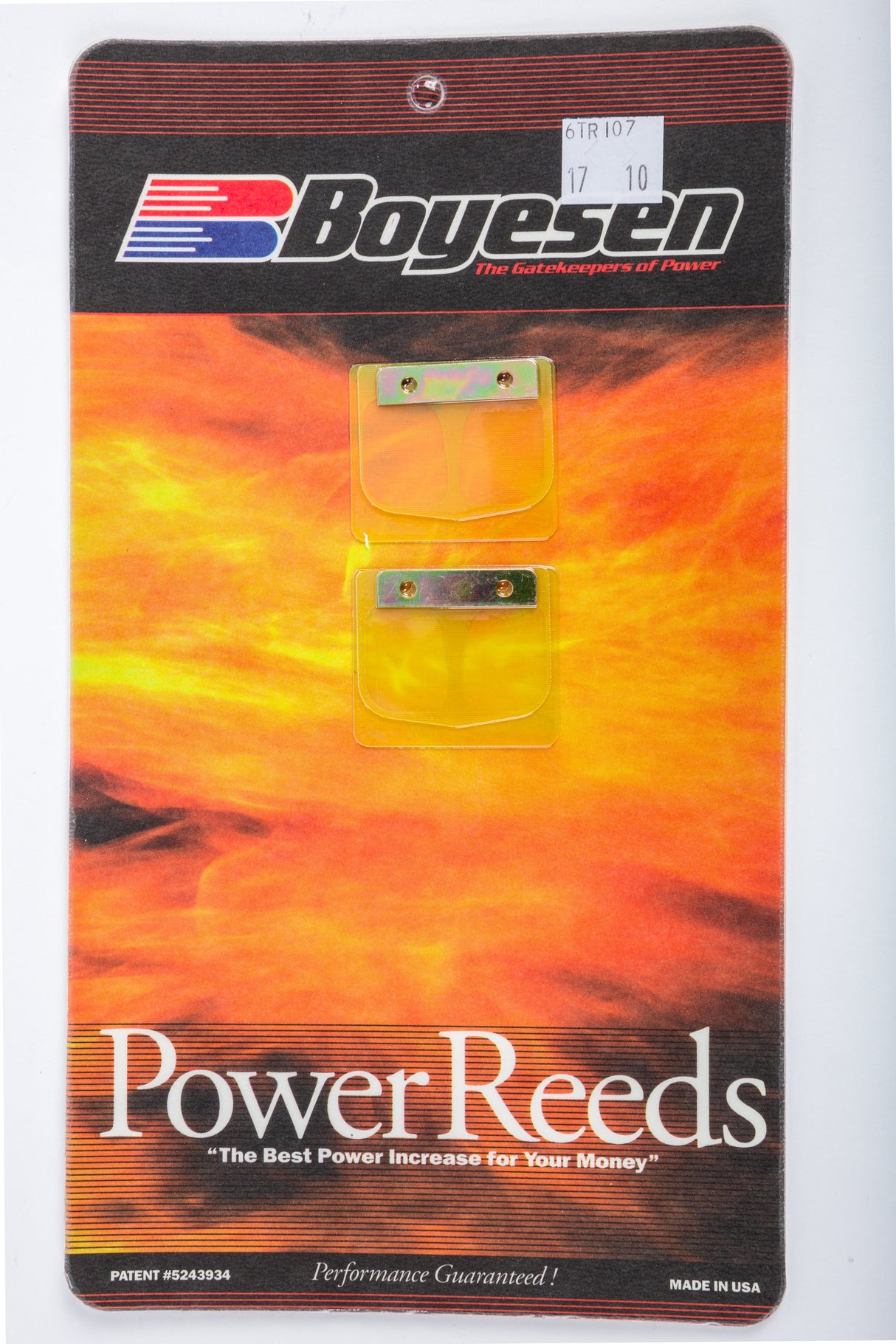 BOYESEN Motorcycle Reeds 6TR107