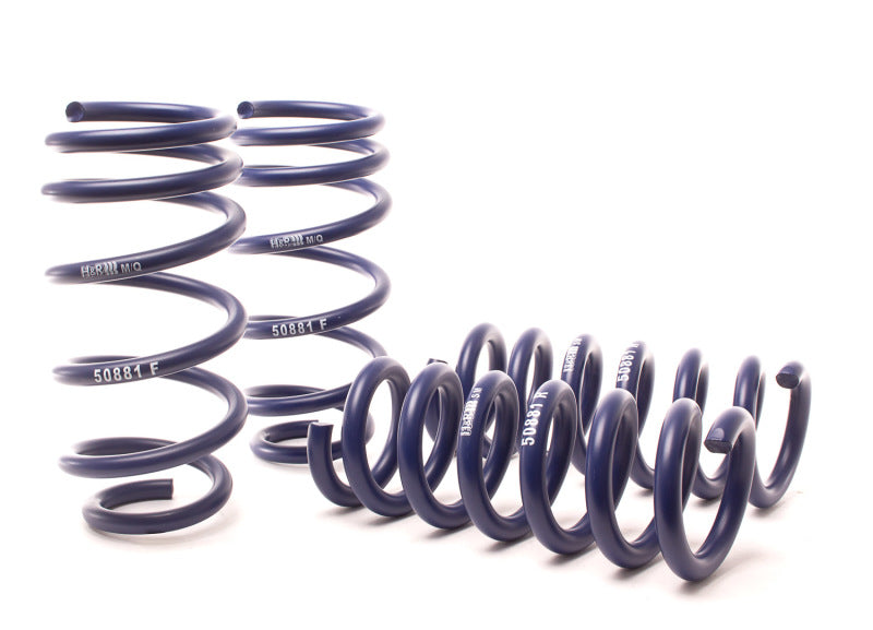 H&R 11-21 Dodge Charger SE/SXT/SXT Plus (2WD/4WD) Rallye/Plus/V6 Sport Spring 50881-6