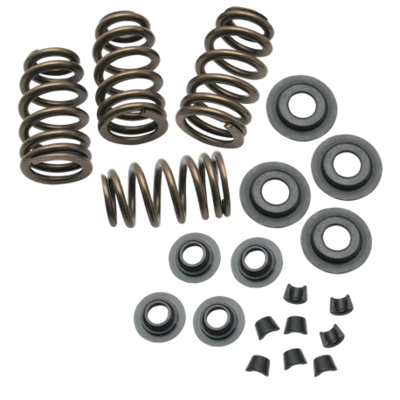 S&S Cycle 84-04 BT/86-03 Sportster Models .650in Lift Sidewinder Valve Spring Kit 900-0050