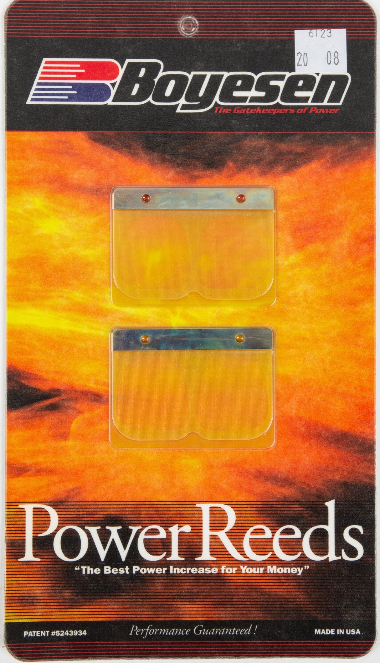 BOYESEN Motorcycle Reeds 6123