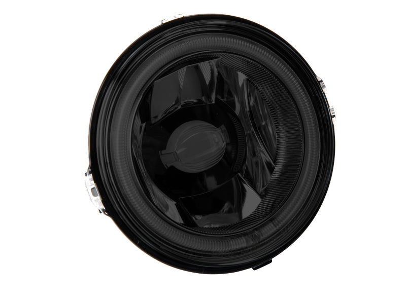 Raxiom 13-14 Ford Mustang GT CCFL Halo Fog Lights (Smoked) 49177