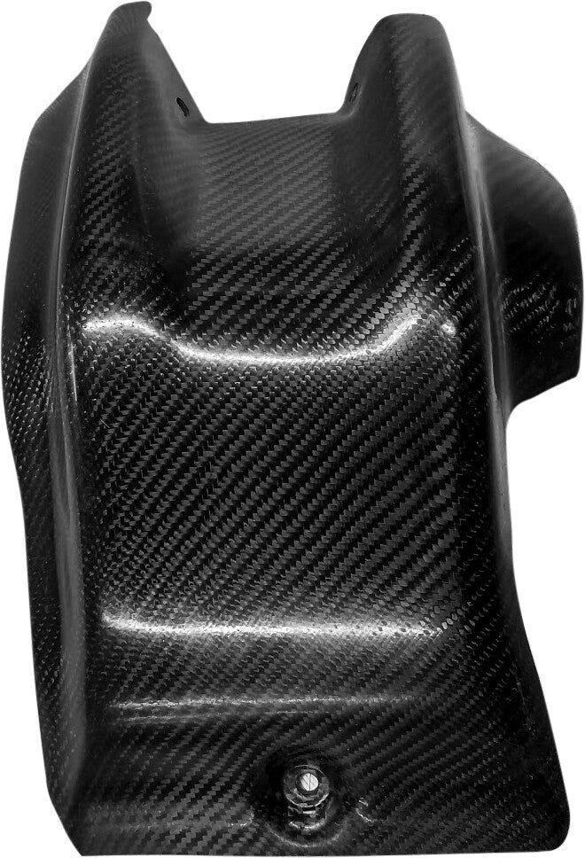 P3Skid Plate Carbon Fiber301093-19