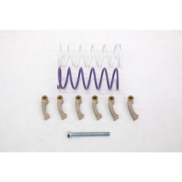 HIGH LIFTER Outlaw Clutch Kit Hlckc1m-Sx 91-10217