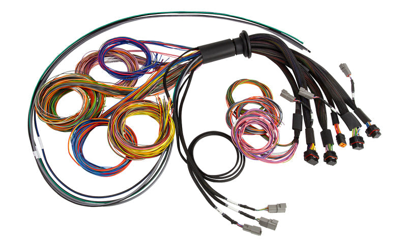 Haltech NEXUS R5 Universal Wire-In Harness - 2.5M (8ft) HT-185200