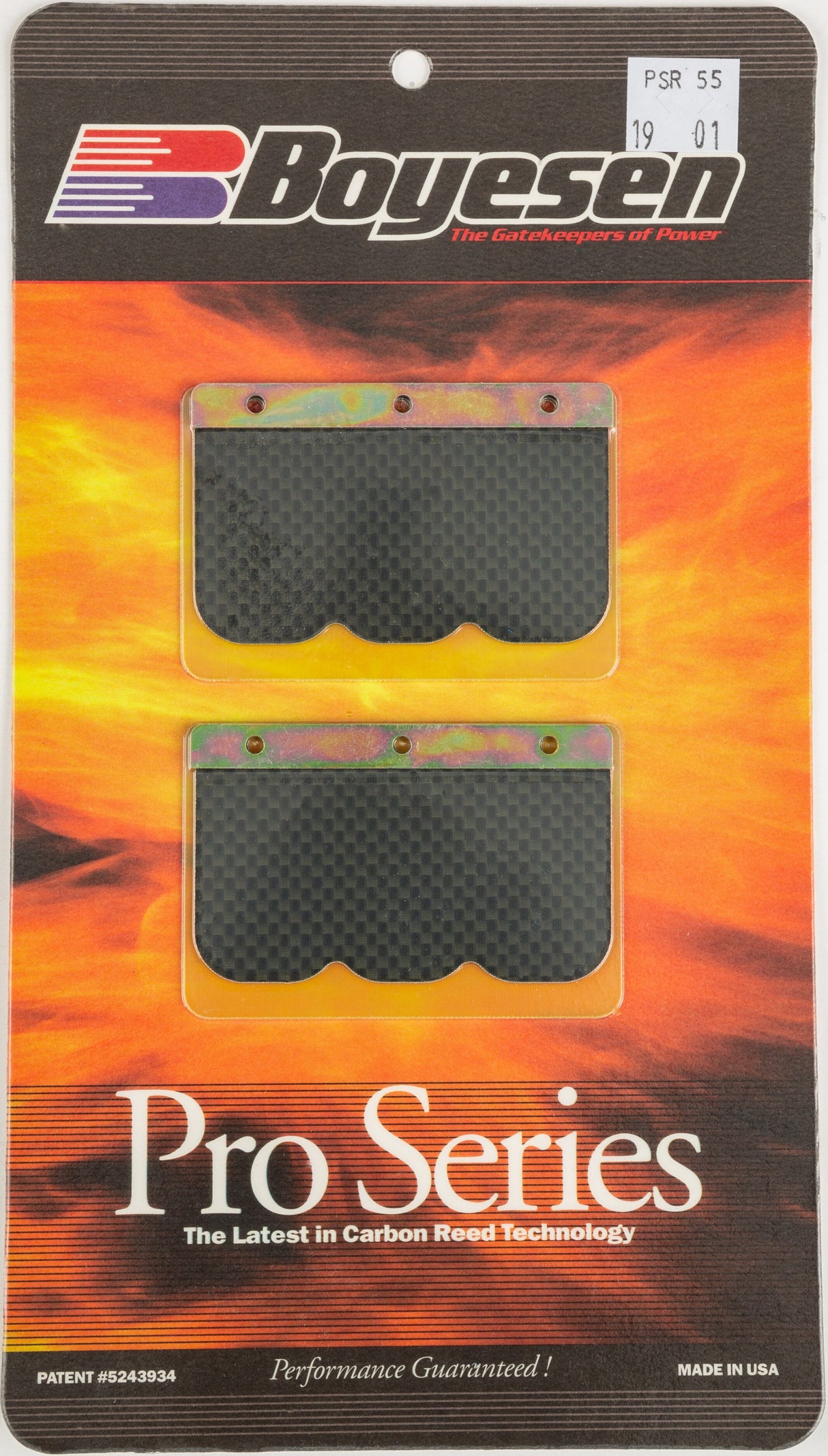 BOYESEN Motorcycle Pro Reeds PSR-55