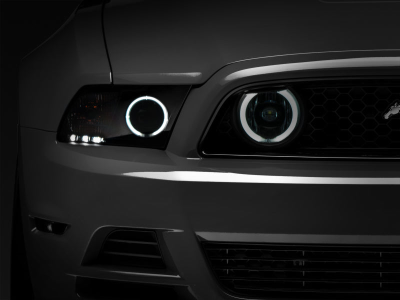Raxiom 13-14 Ford Mustang GT CCFL Halo Fog Lights (Smoked) 49177