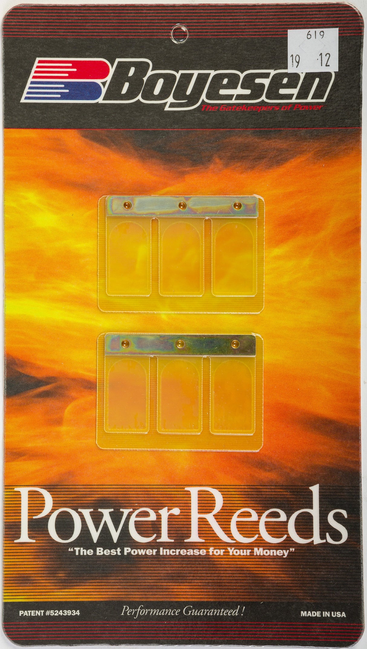 BOYESEN Motorcycle Reeds 619