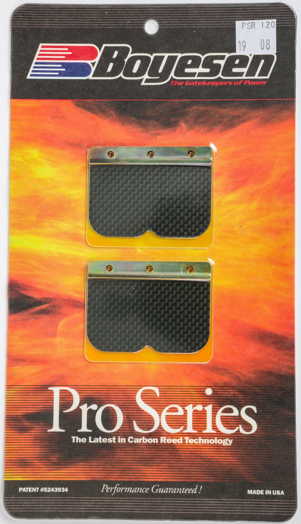 BOYESEN Motorcycle Pro Reeds PSR-120