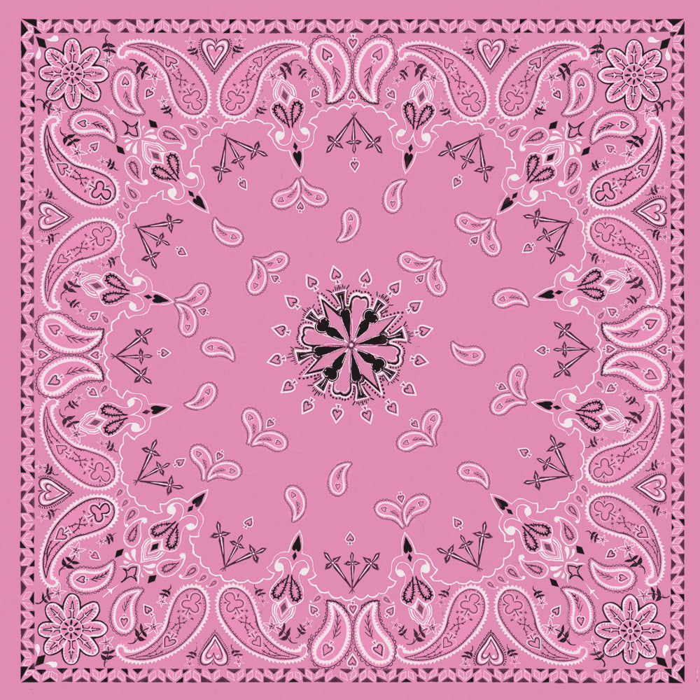 ZAN Bandanna Pink Paisley B015