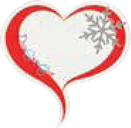 DSG Snow Decal 12830