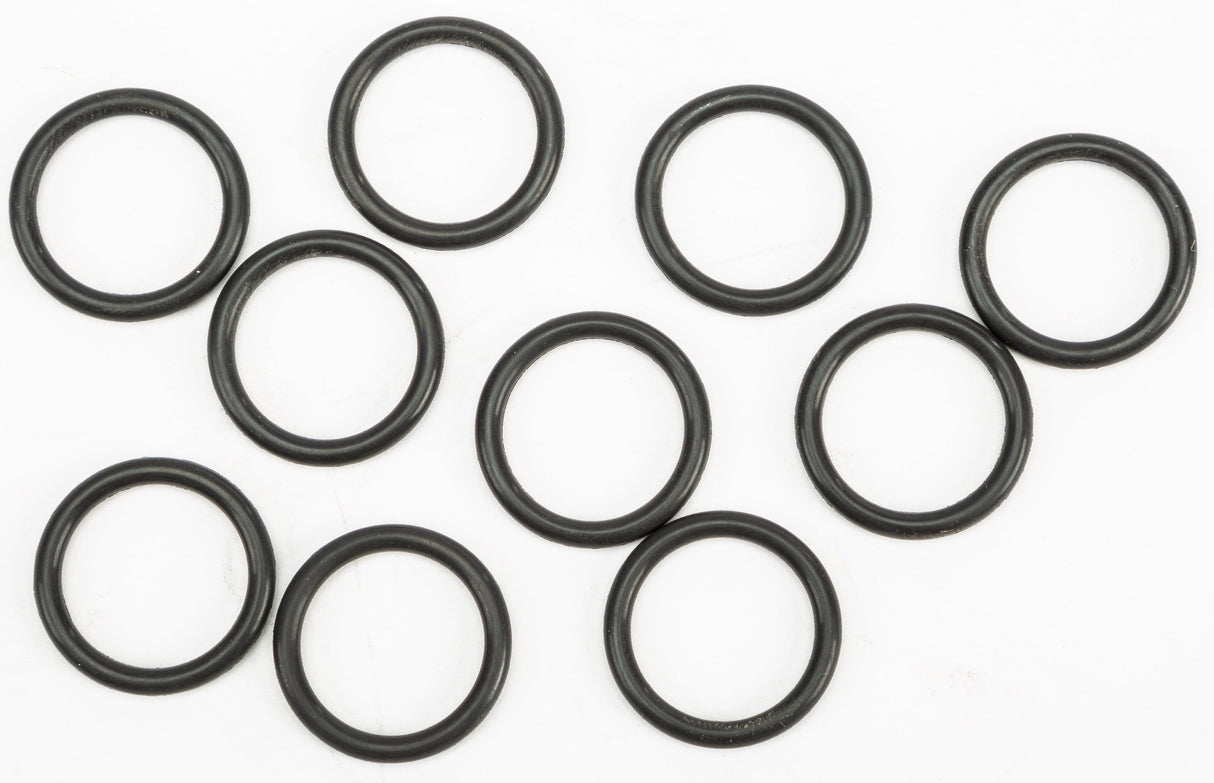 JAMES GASKETSO-Ring Oil Pump Plug 10/Pk11900010