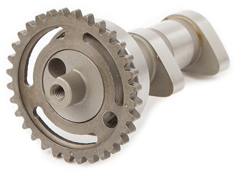 HOT CAMS Racing Cam Stage 1exh Rmz450 ''08-09 2120-1E