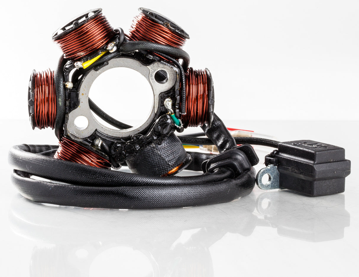 RICKS Stator 21-061