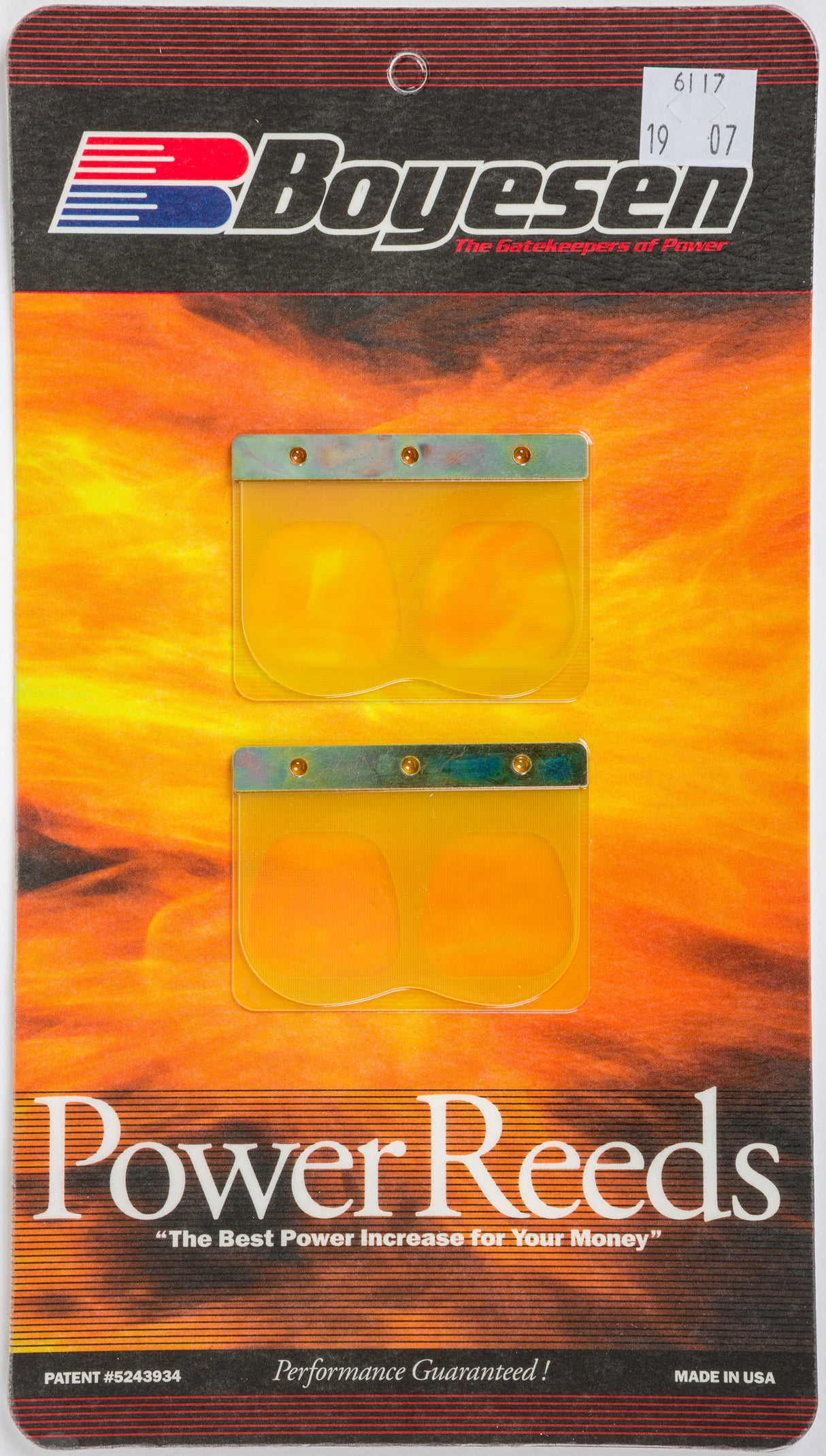 BOYESEN Motorcycle Reeds 6117