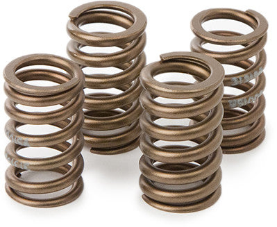 HOT CAMS Valve Spring Kit Hon Crf450r '09-11 VSK1009