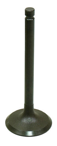 BRONCO Intake Valve AU-09157I