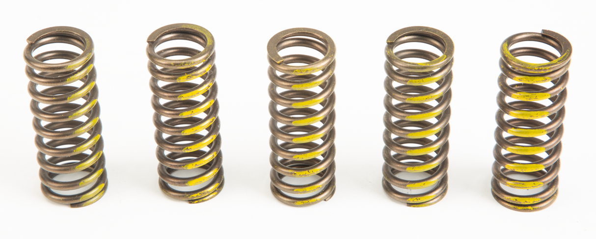 PRO CIRCUIT Clutch Springs CSS07250
