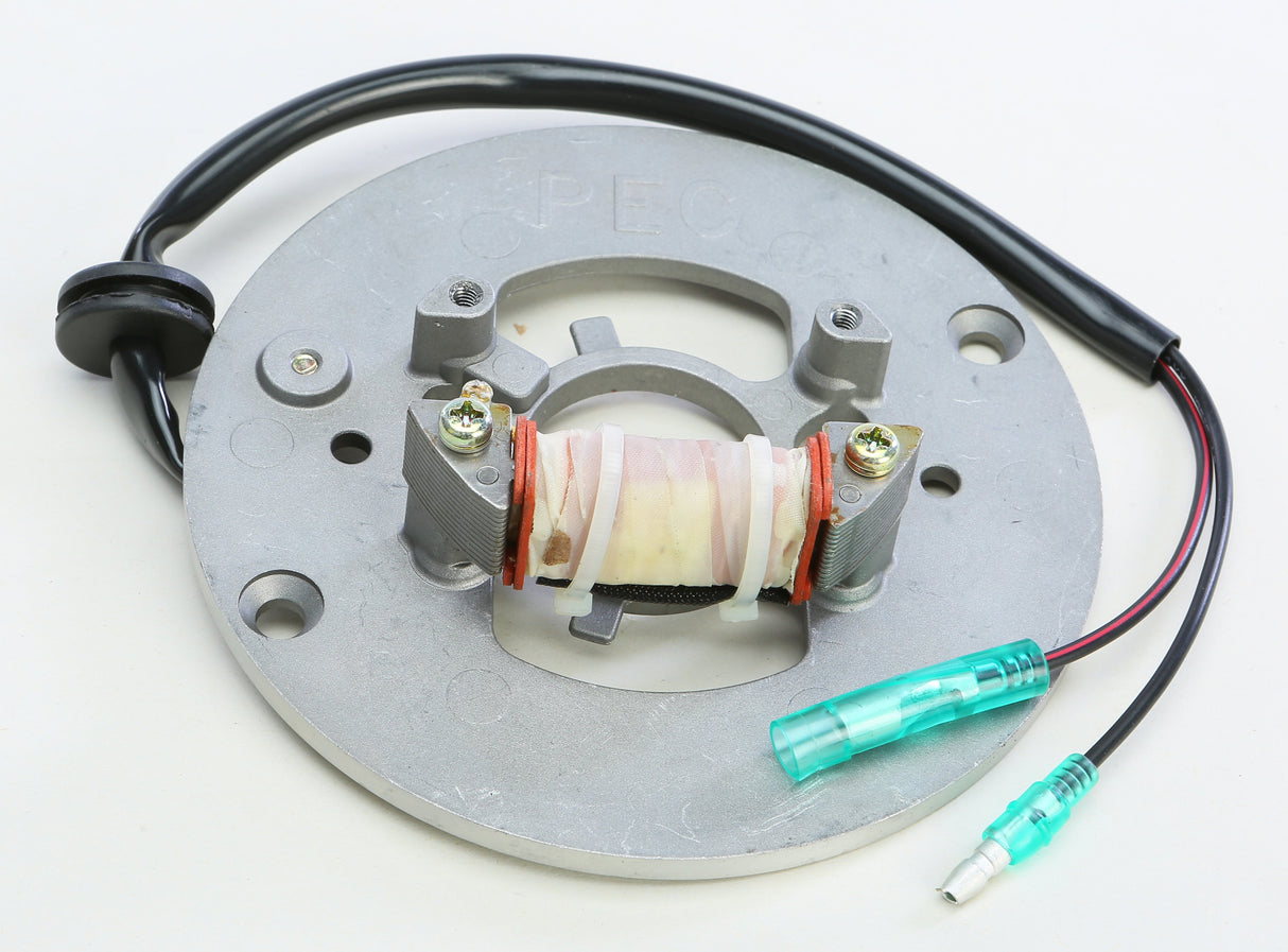 RICKS Stator 21-906