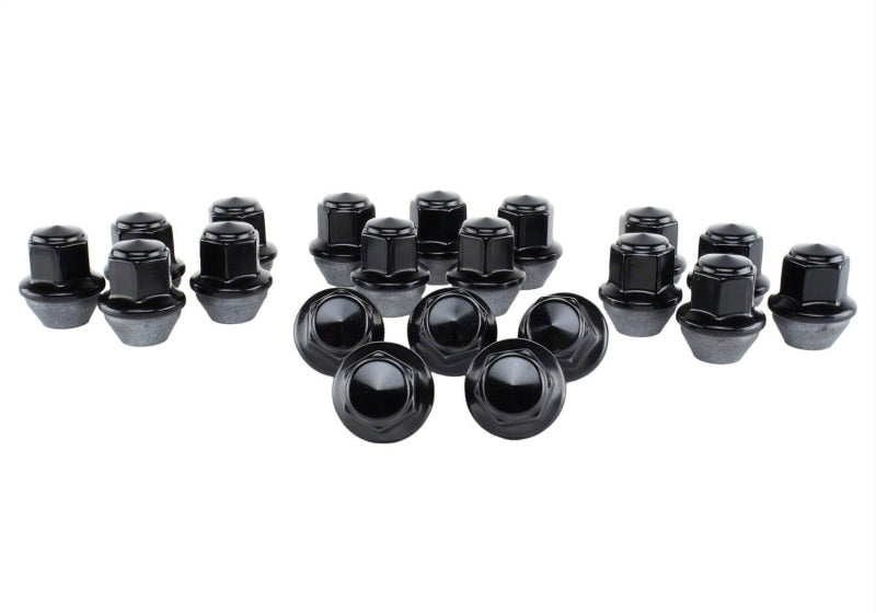 Ford Racing 15-18 Mustang Black Lug Nut Kit (20 Lug Nuts) M-1012K-MB