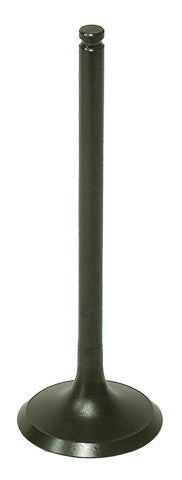 BRONCO Exhaust Valve AU-09190E