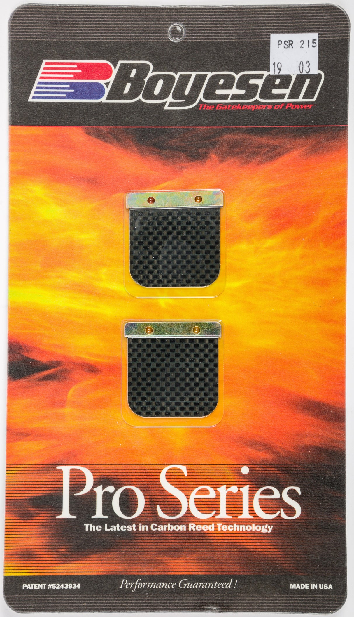 BOYESEN Motorcycle Rl Pro Reed PSR-215-OLD