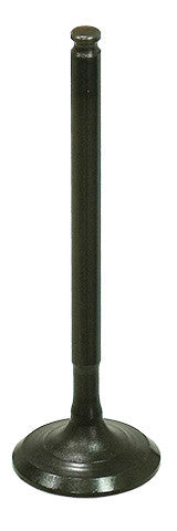 BRONCO Intake Valve AU-09209I