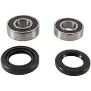 PIVOT WORKS Rear Wheel Bearing Kit PWRWK-H17-008