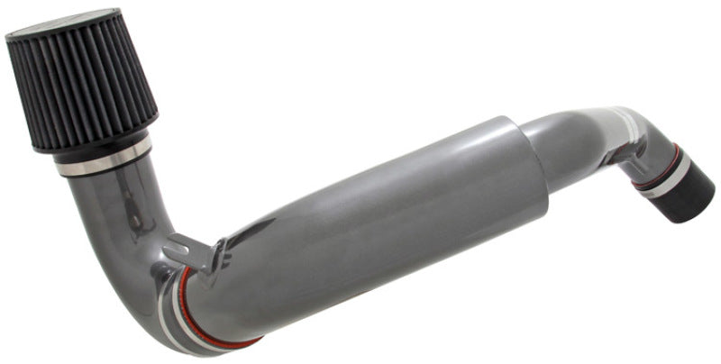 AEM 94-01 Acura Integra GSR M/T only Silver V2 Intake 24-6004C