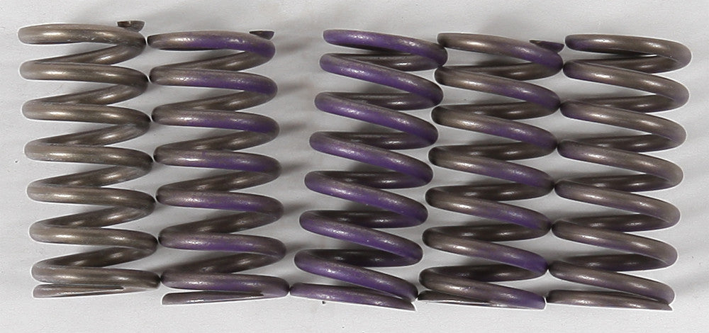 HINSON High Temp Springs 5 Springs CS341-5-0311