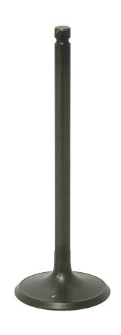 BRONCO Intake Valve AU-09194I
