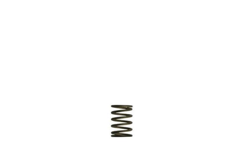 Turbosmart Gen-V WG38/40 3psi Black Inner Spring TS-0550-3081