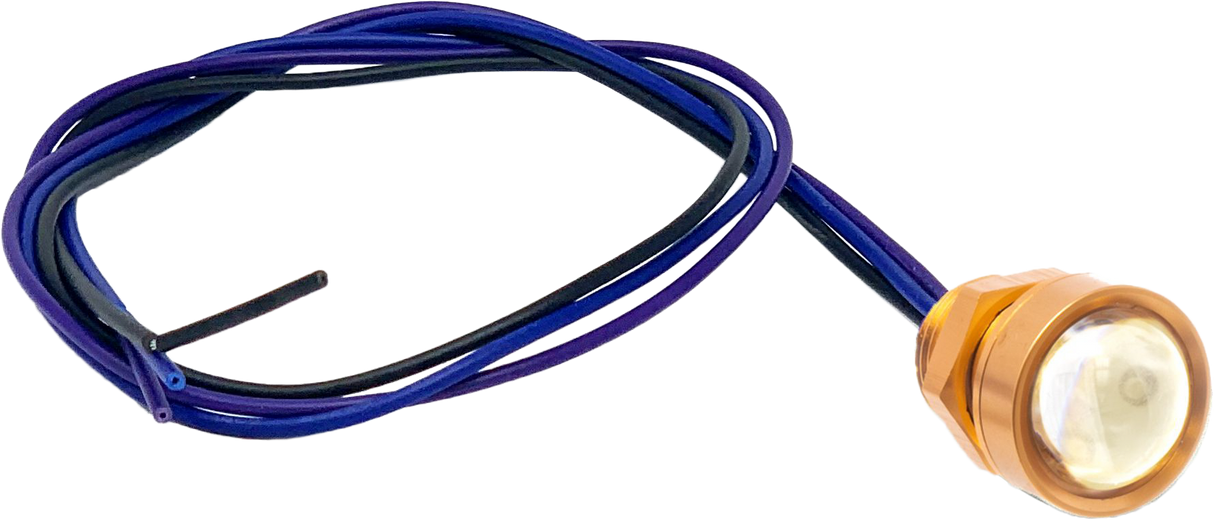 LETRIC LIGHTING CORoyal Flush G2 Led Gold Red 6pkLLC-RFGS-R