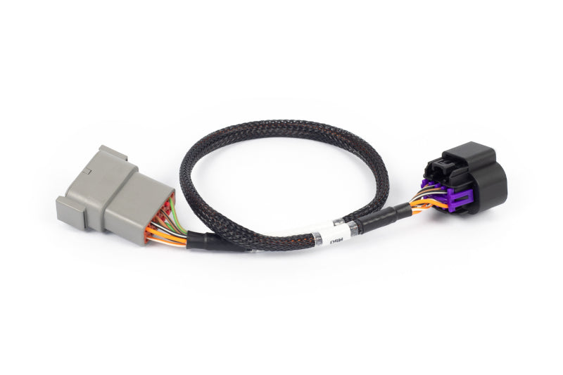 Haltech NEXUS Rebel LS 8-Pin DBW Adaptor (Plug-n-Play w/HT-186500) HT-186506