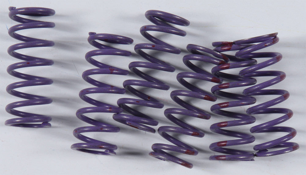 KGHigh Performance Spring SetKGS-036