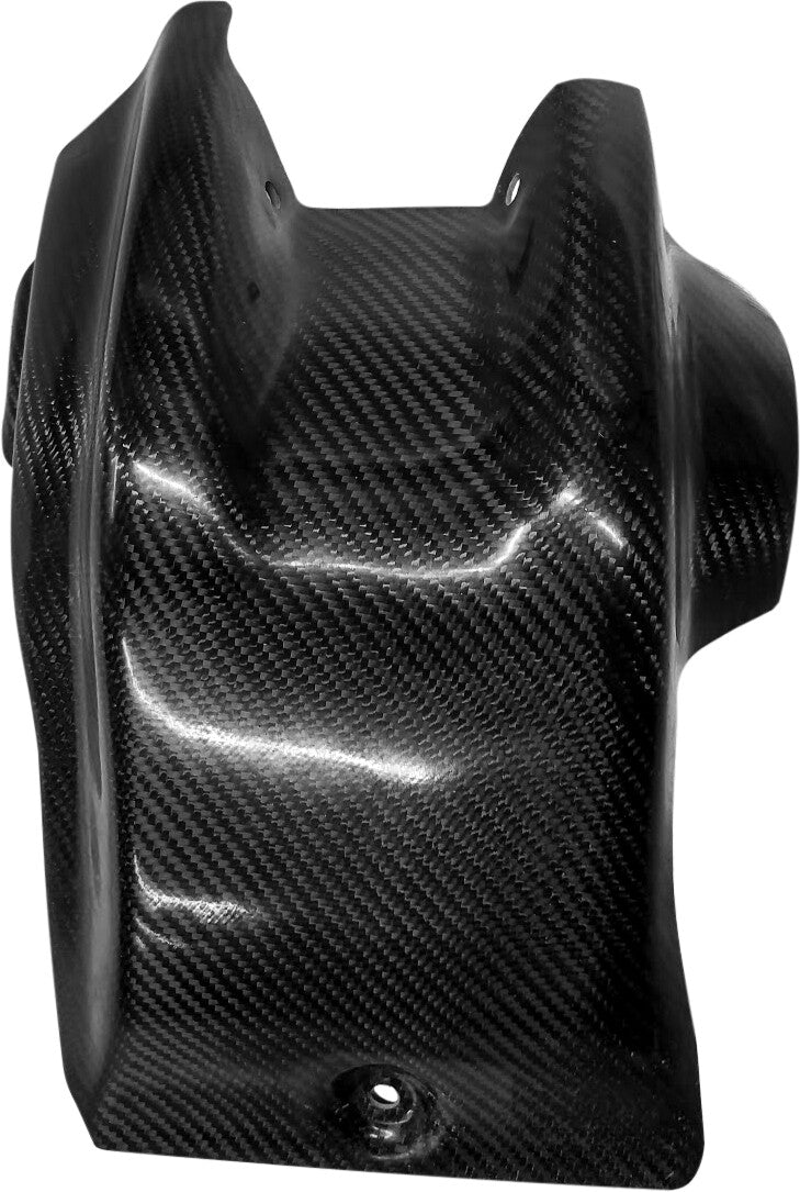 P3Skid Plate Carbon Fiber301093-19E
