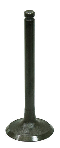 BRONCO Intake Valve AU-09208I