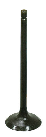 BRONCO Exhaust Valve AU-09199E