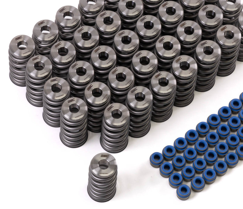 GSC P-D Audi R8 V10 / Lamborghini Huracan V10 5.2L Valve Spring & Ti Retainer Kit (w/Seats & Seals) 5025