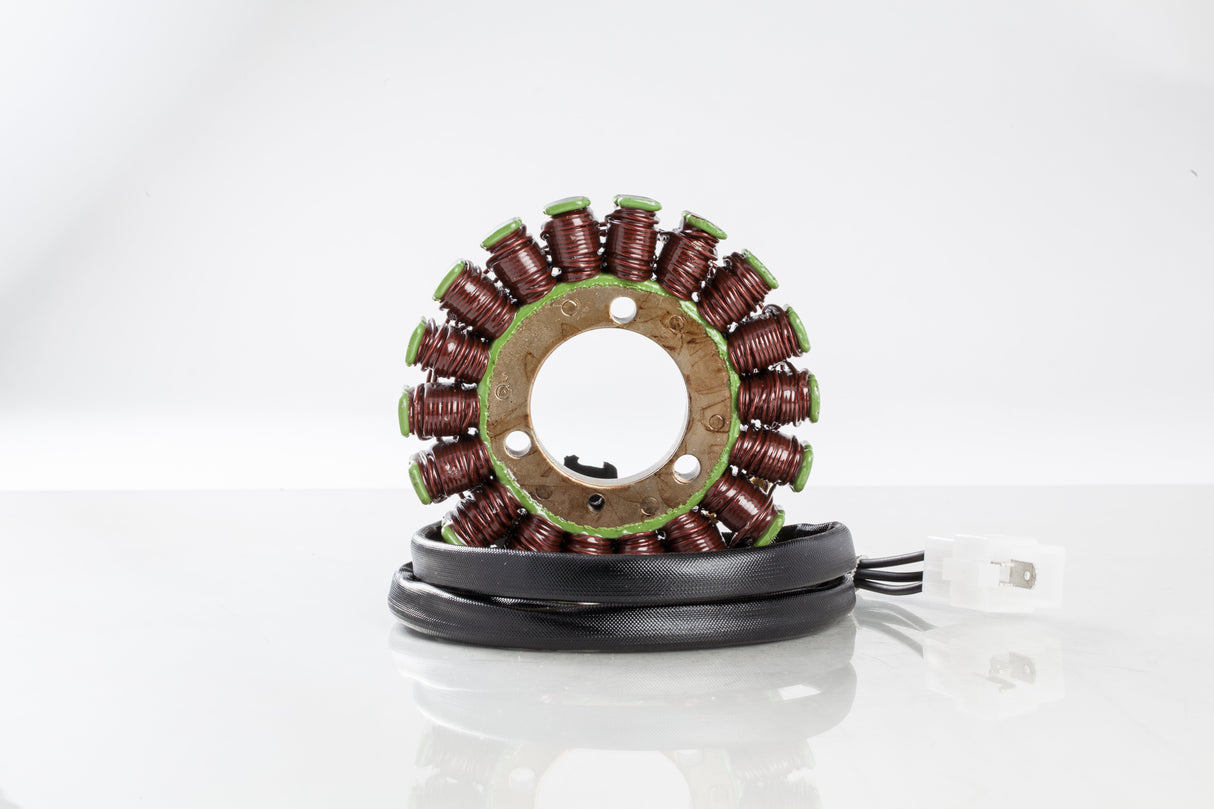 RICKS Stator 21-310